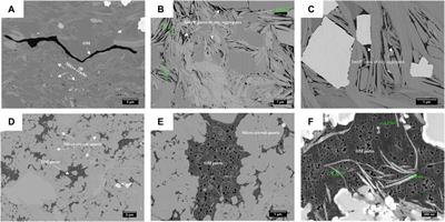 Pore Connectivity Characterization Using Coupled Wood’s Metal Intrusion and High-Resolution Imaging: A Case of the Silurian Longmaxi Shales From the Sichuan Basin, China